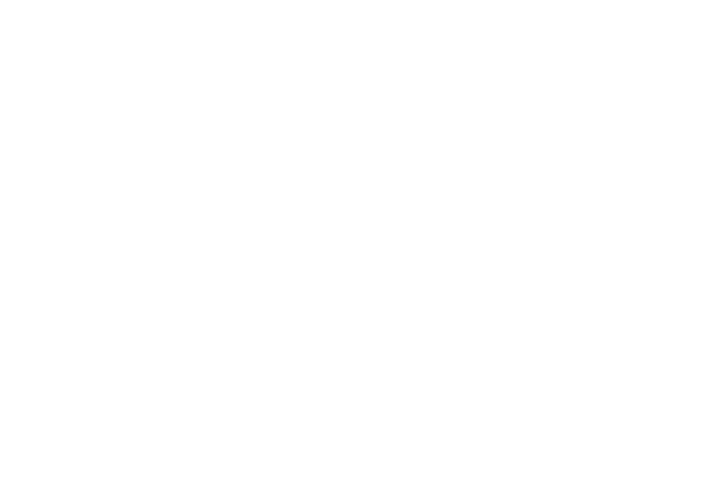 Digital identity icon